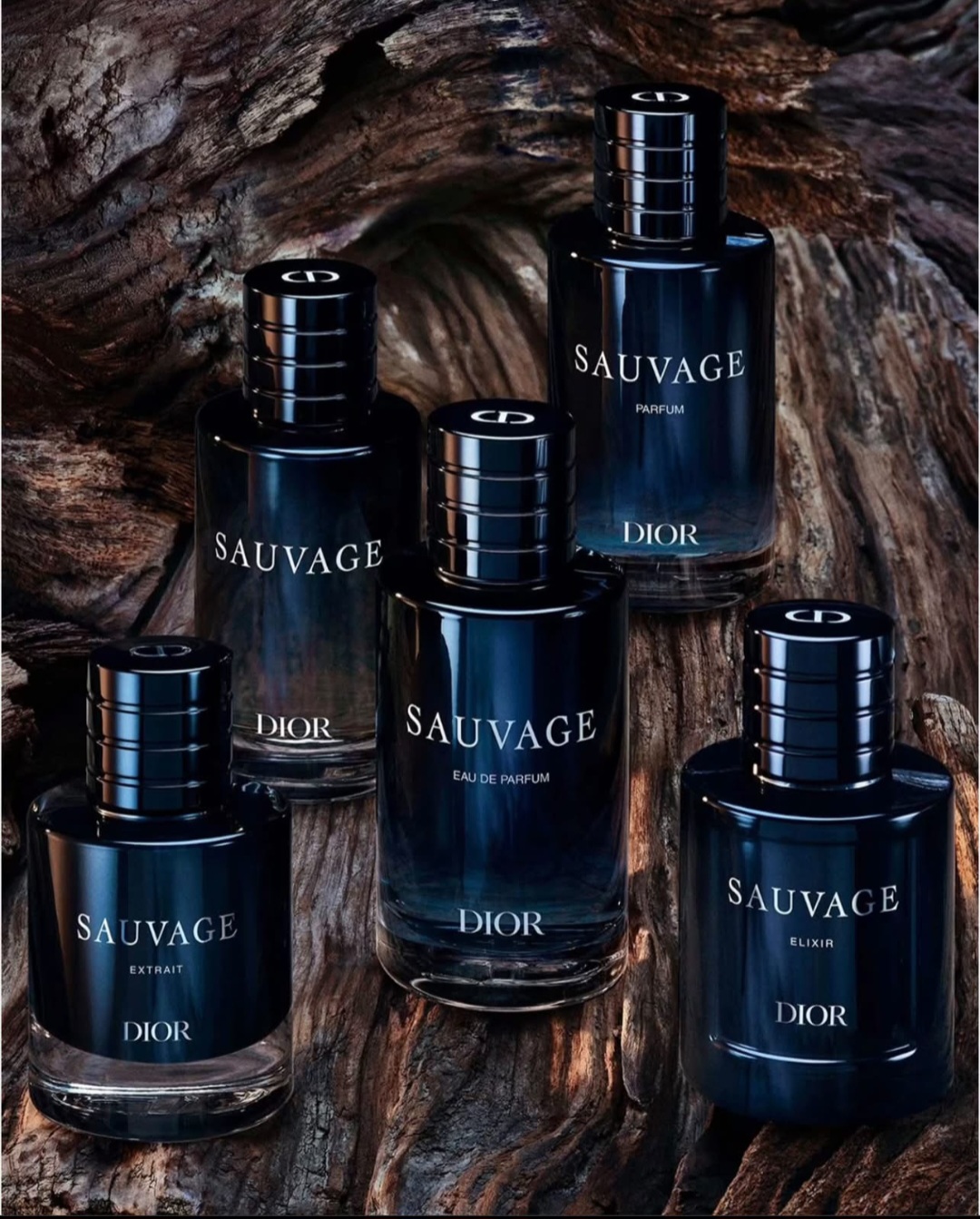 Dior Sauvage fragrance collection arranged on driftwood